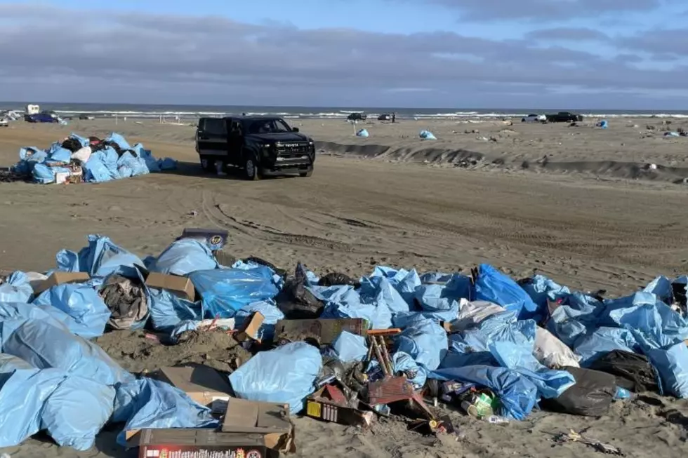 Washington Volunteers Remove 162,000 Pounds of Beach Garbage 