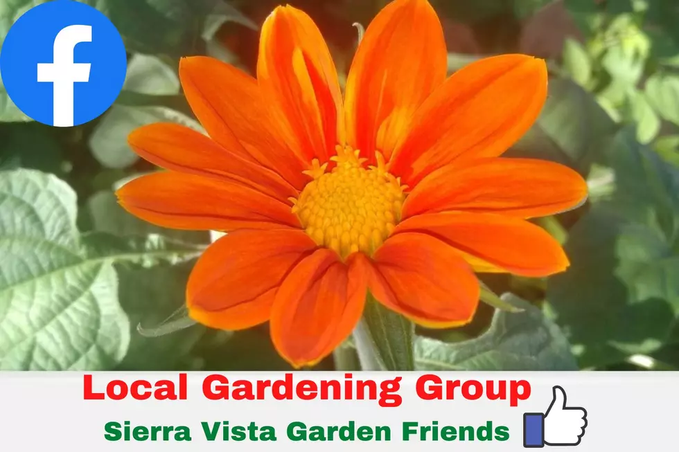 Sierra Vista Garden friends Facebook Group