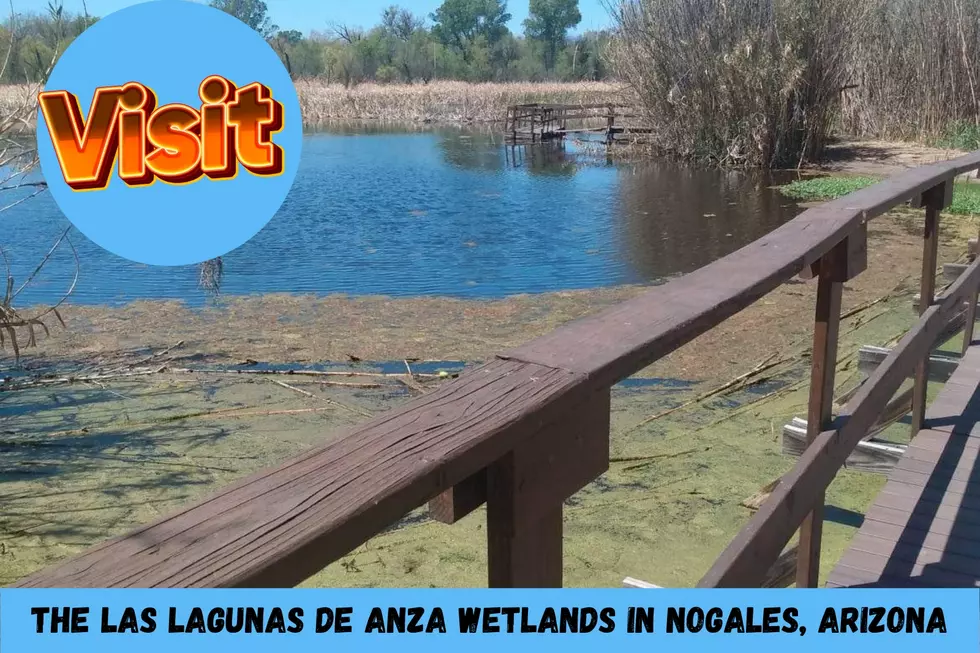 The Las Lagunas de Anza wetlands in Nogales, Arizona