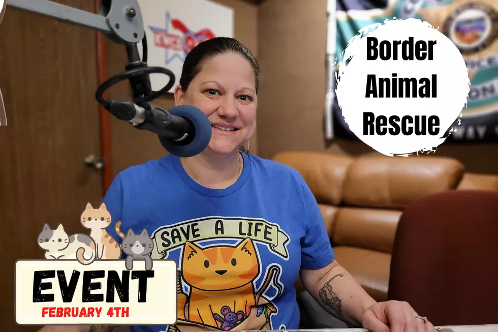 Border Animal Rescue programs for Cochise County