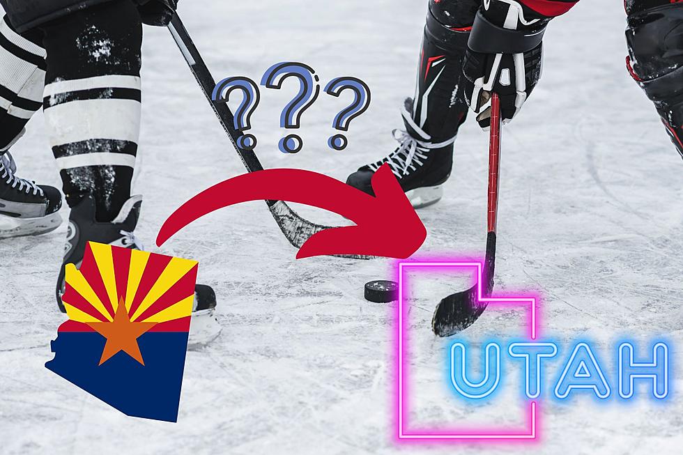 Arizona Hockey May Be Looking to Relocate