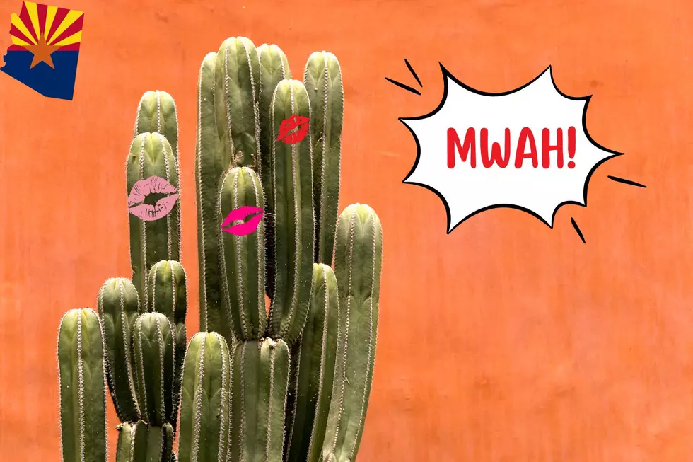 Romance In The Desert: What Is Arizona’s “Kissing Cactus”?