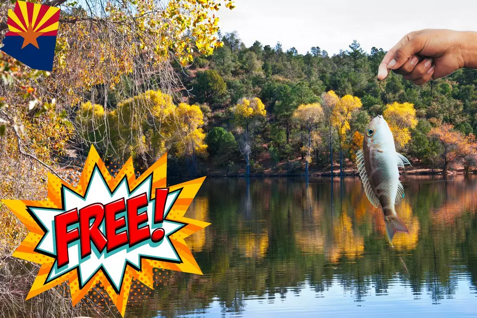 Free Fishing Weekend 2024 in Arizona: What to Know