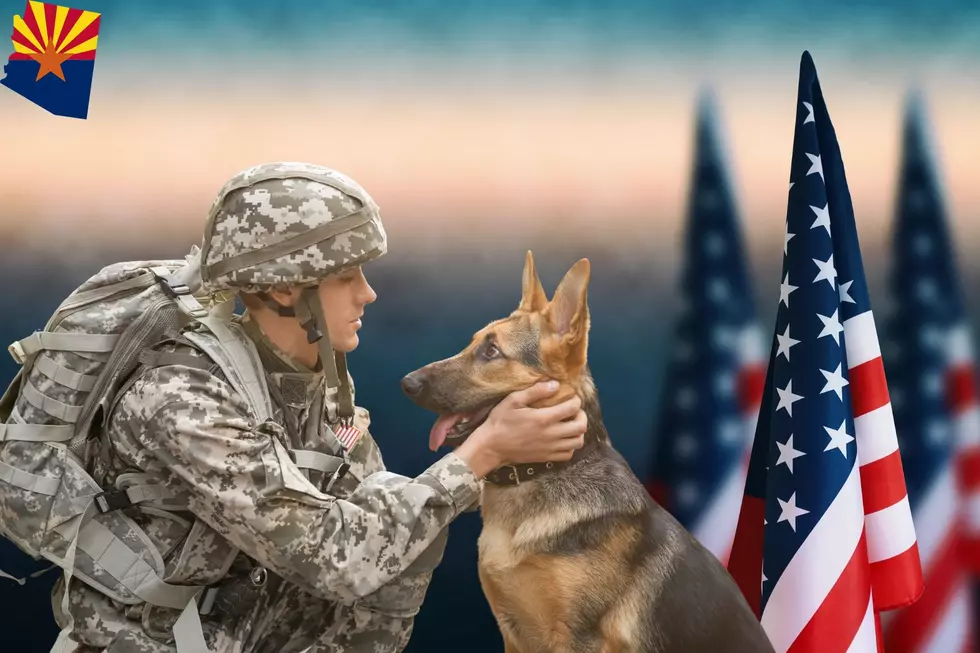 Arizona's Memorial Day Miracle: Puppies for Veterans