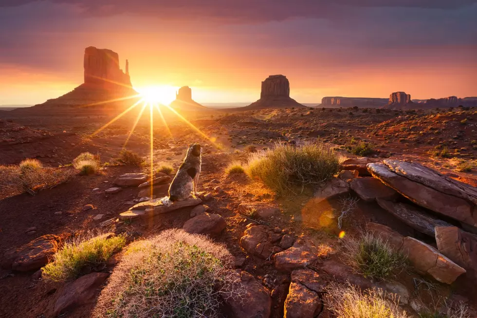 The Arizona desert at sunset