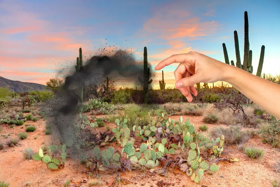 A hand throwing ashes in the Arizona desert