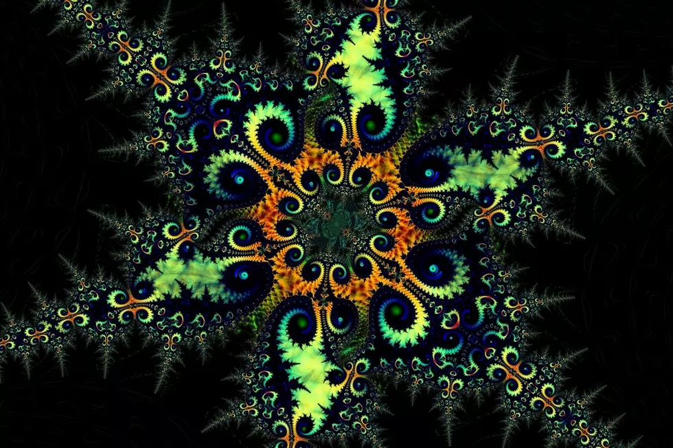A simulation of a mushroom trip