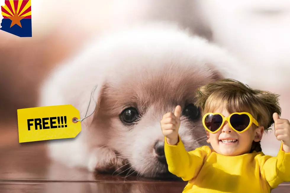 Arizona Humane Society Wants You To Adopt For Free!