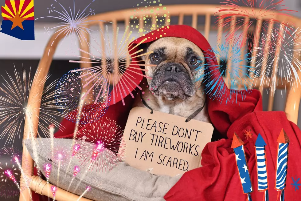 Last Minute Tips To Keep Your Dogs Happy Around Arizona Fireworks