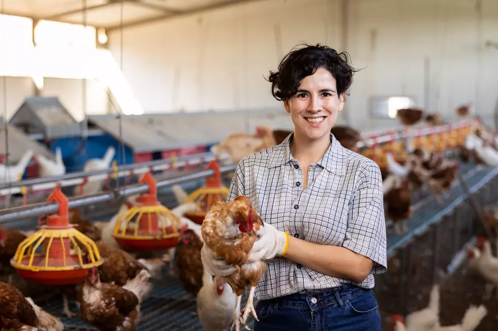 A woman holds a chicken in a chicken farm