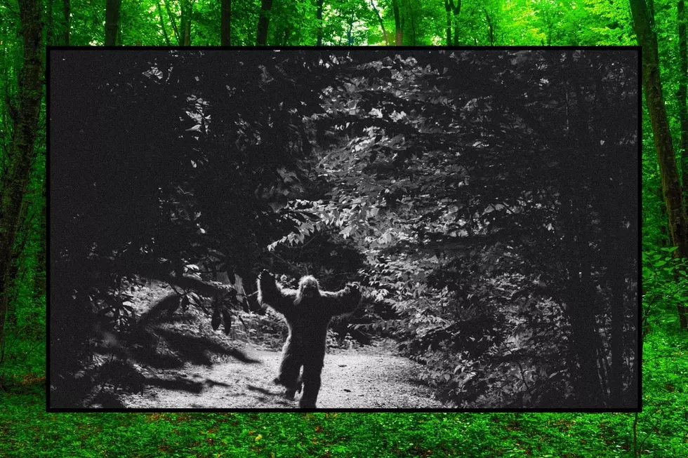Bigfoot running at a camera