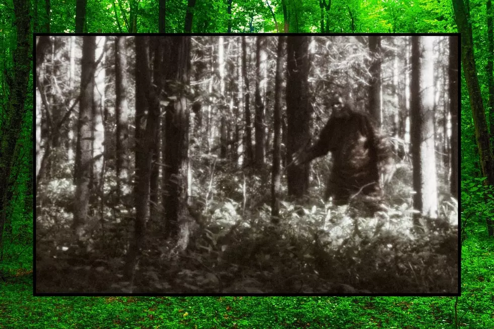 A black and white photo recreation of what the monster could look like