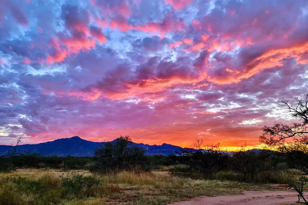 photo by Val Davidson/TSM