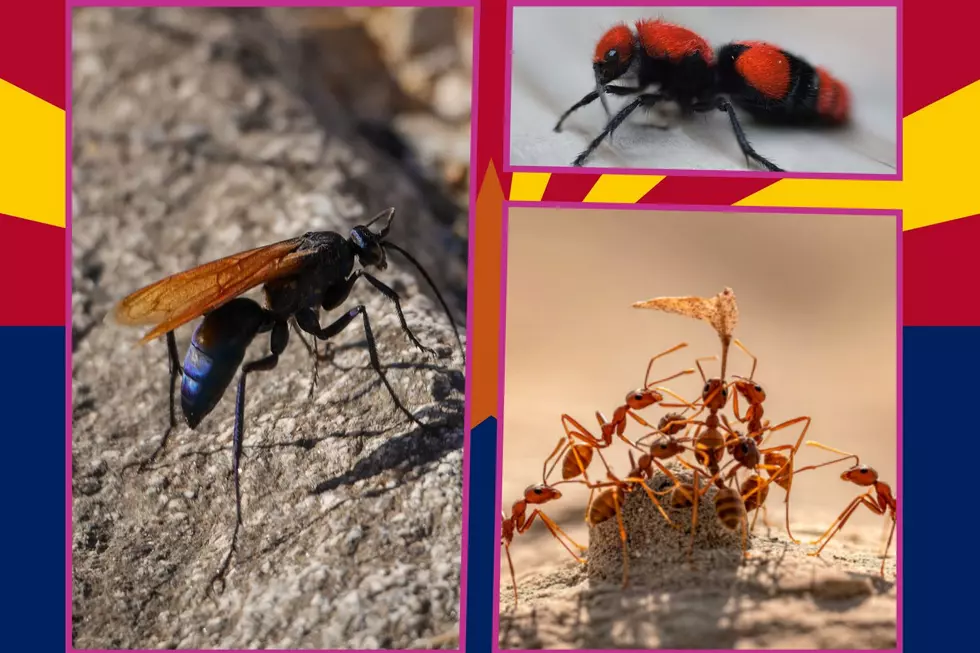 Photos by Canva