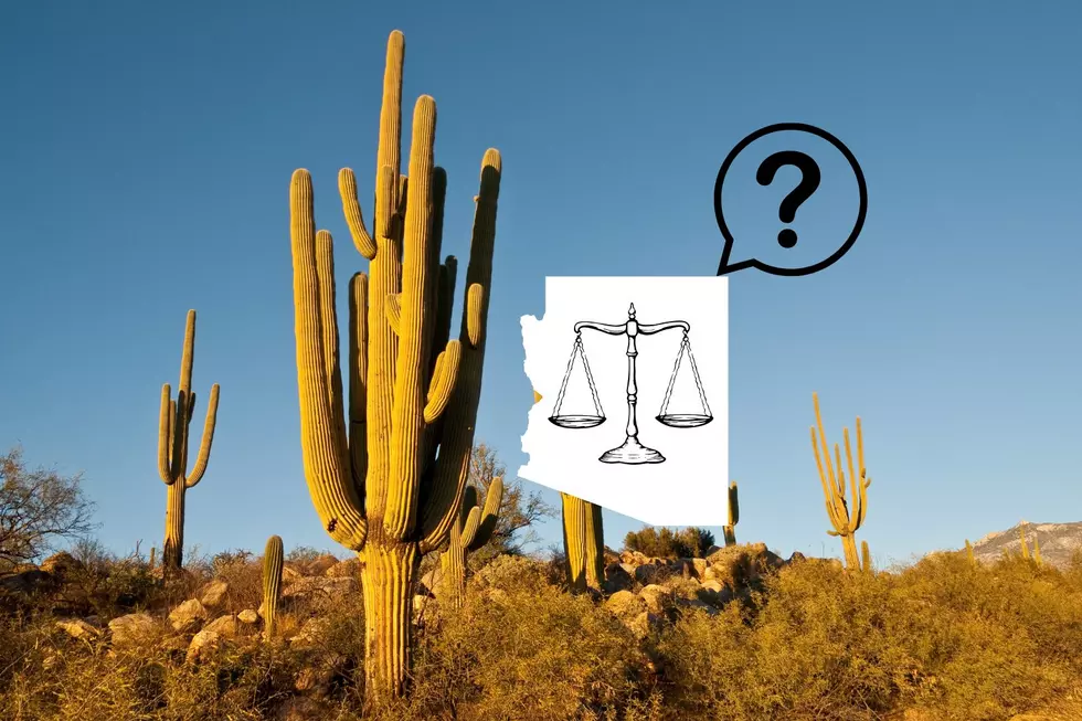 Why Cutting Down A Saguaro In Arizona Can Lead To A Felony Charge