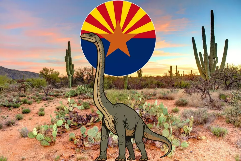 Meet Arizona’s State Dinosaur the Sonorasaurus!