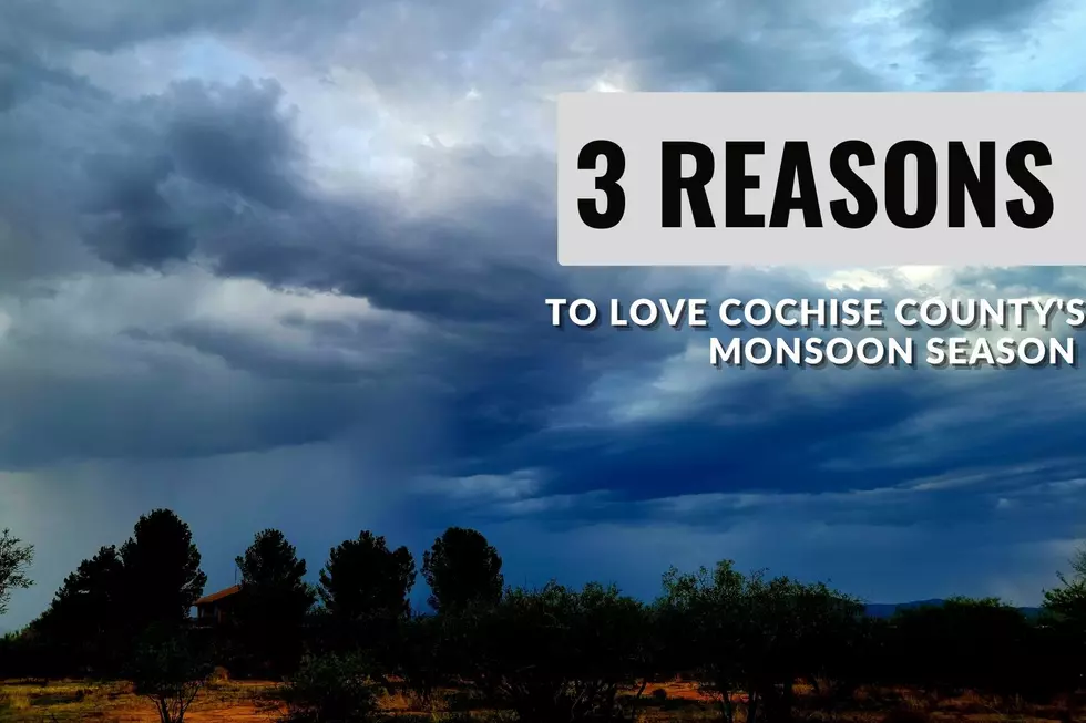 Monsoon Season: 3 Reasons this is the Best Time in SE Arizona