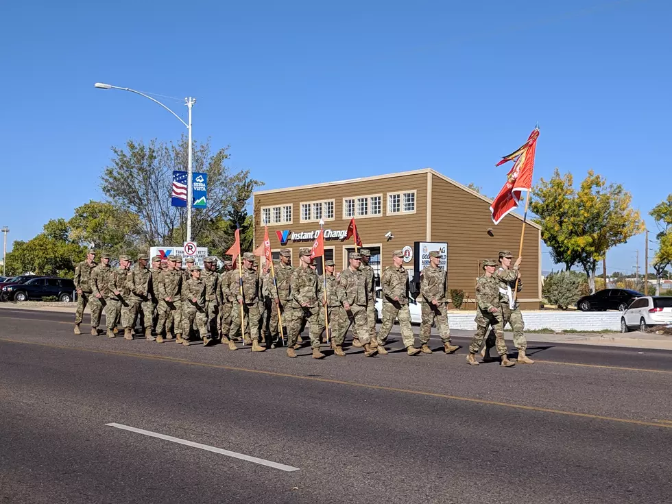 The 2022 Sierra Vista Veterans Day Parade
