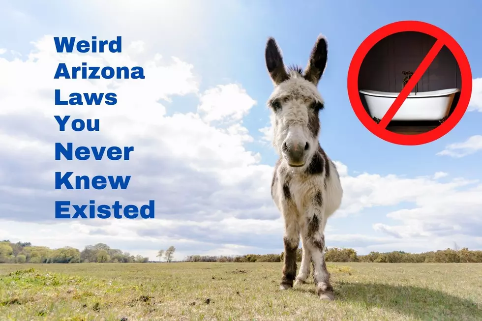 Weird Arizona Laws You Didn’t Know Existed