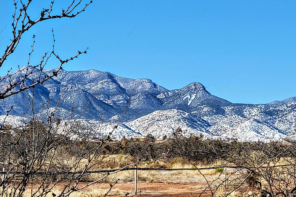 5 Ways to Spot an Arizona Native When it Gets Cold