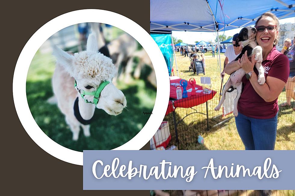 Celebration of Animals Coming to Veterans Park
