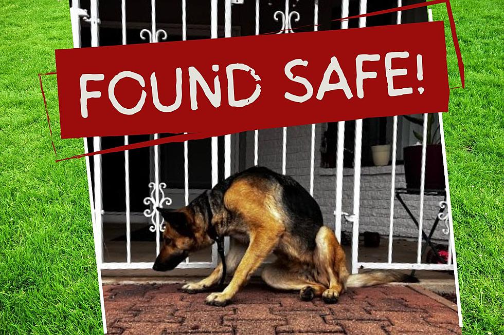 Illusion the German Shepherd Found Safe on Fort Huachuca