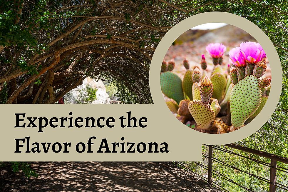 Taste the Flavor of Arizona with This Unique Festival
