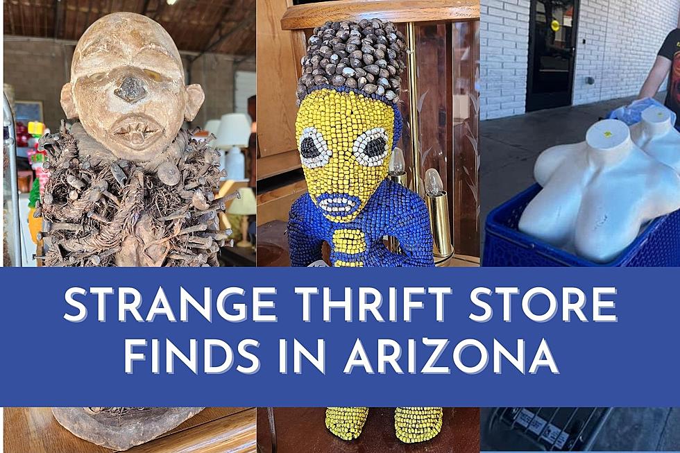 The Weirdest Things Arizonans Found in Thrift Stores