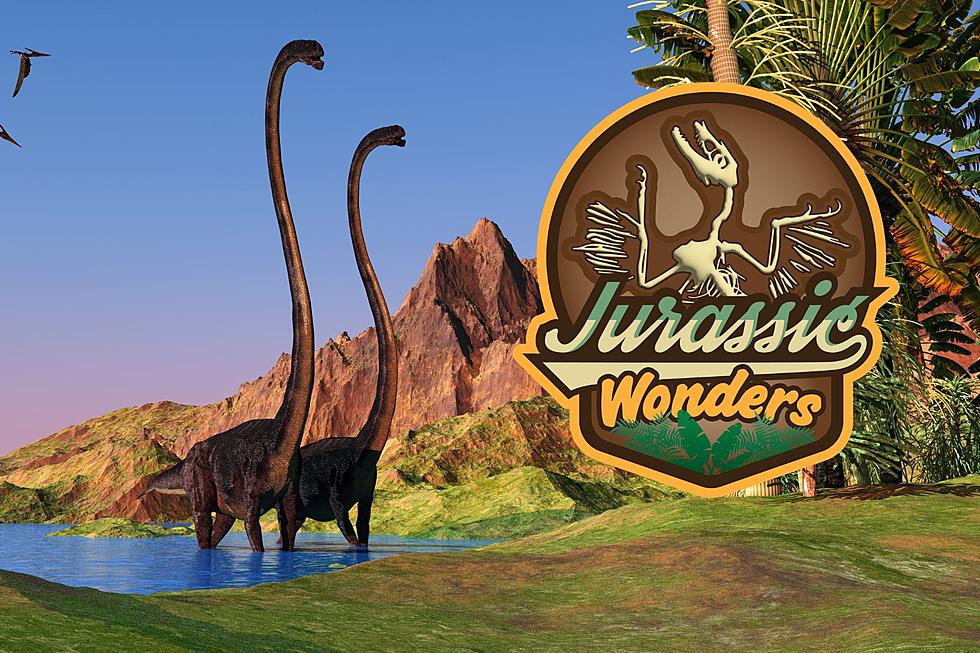 &#8216;Jurassic Wonders&#8217; Coming to Hauser Museum