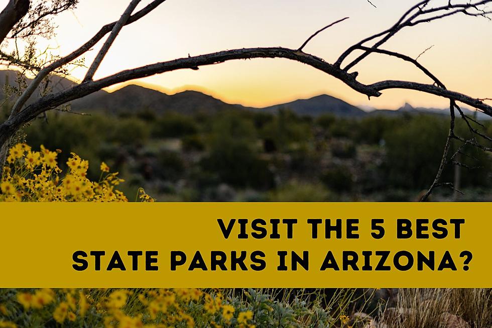 Visit the Top 5 State Parks in Arizona