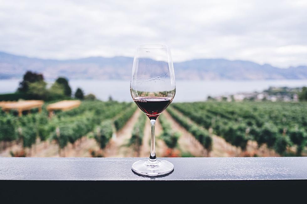 Annual Blessing of the Vine Festival at Sonoita Vines