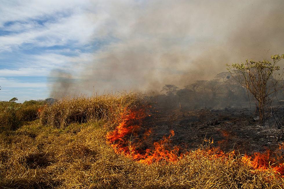 Are You Ready for Wildfire Season in Arizona?