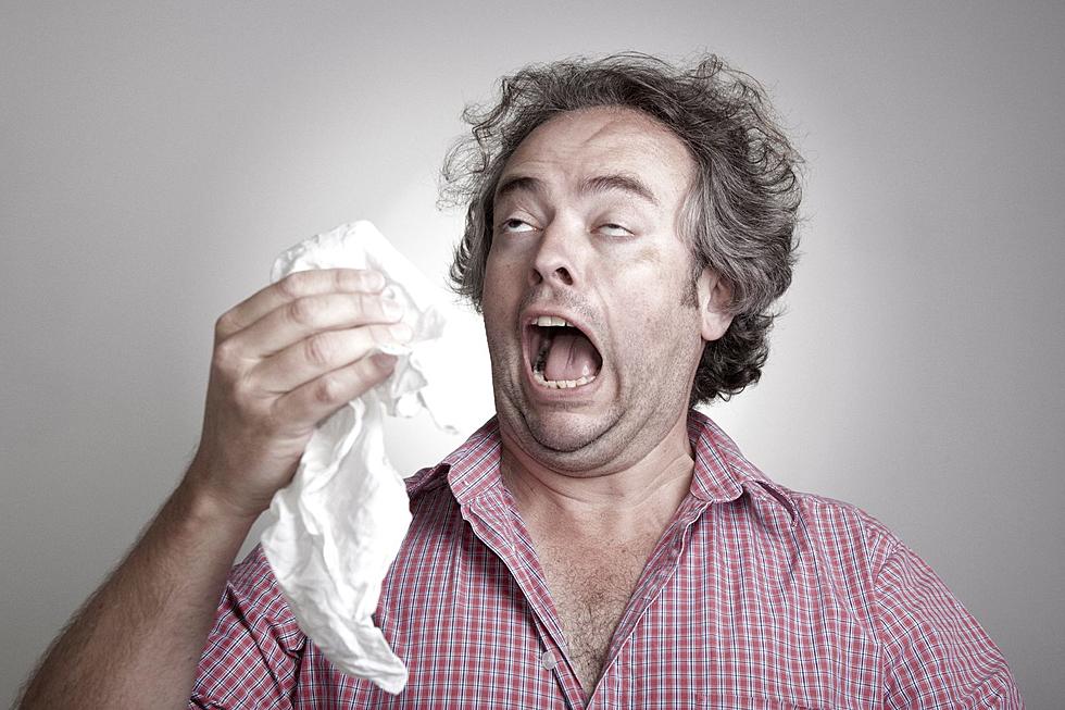 Can’t Stop Sneezing? Could You Be Allergic to Arizona?
