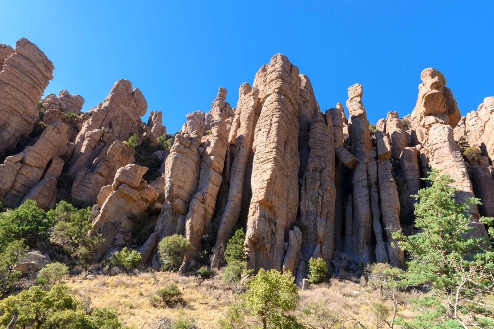The Chiricahuas. Canva