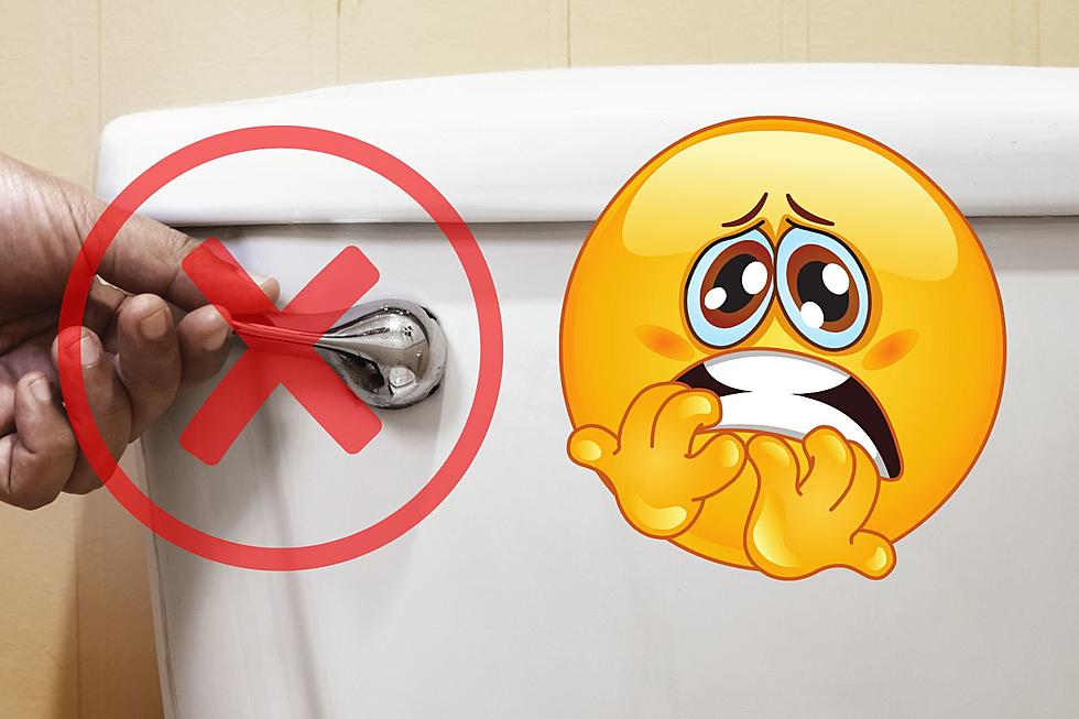3 Things You Should Never Flush in Arizona if You Have One of These
