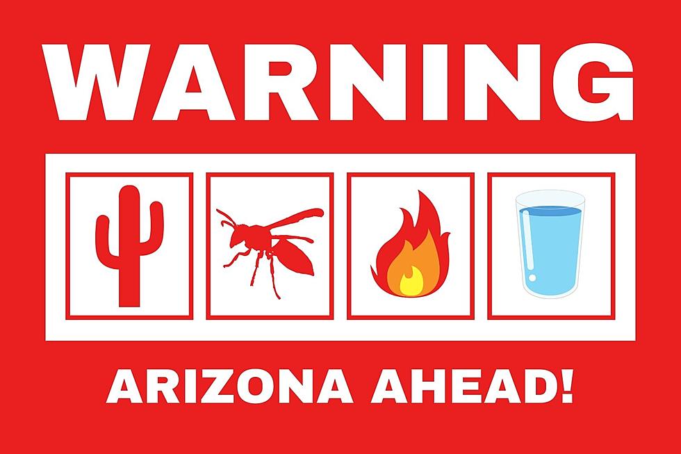 If Arizona Had a Warning Label, What Would it Say?