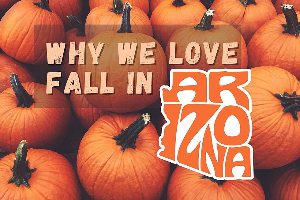 Why Do We Love Fall? Here Are 7 Ways to Enjoy Autumn in Arizona
