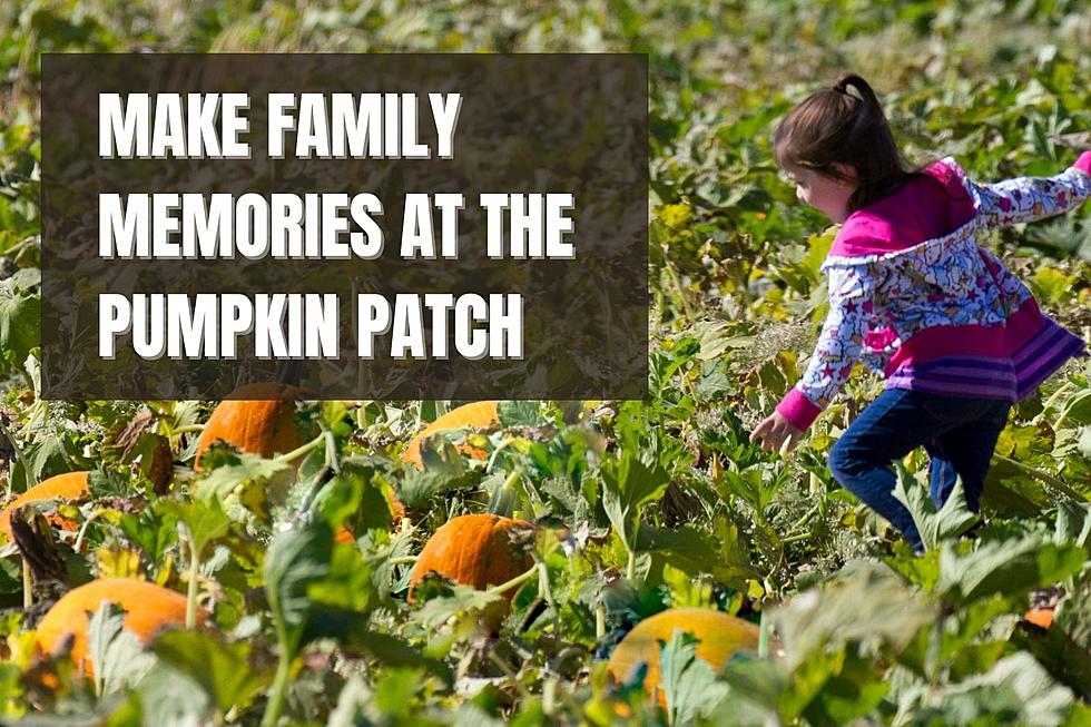 Enjoy a Perfect Fall Day at this Arizona Pumpkin Patch