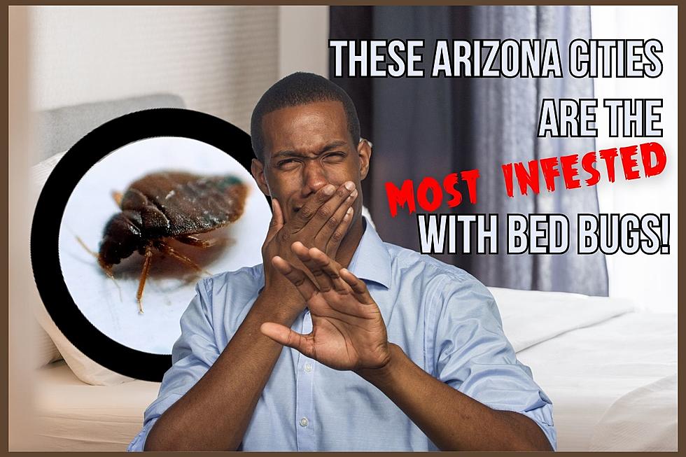 Ew! These 2 Arizona Cities Are the Most Infested with Bedbugs