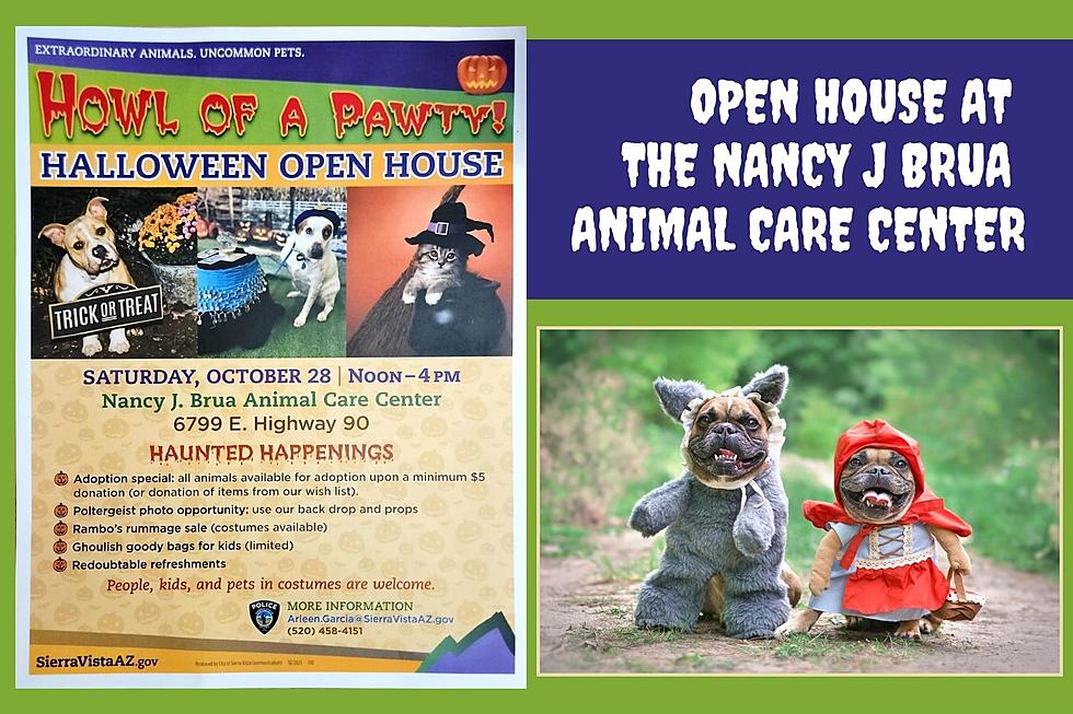 It's a 'Howl of a Pawty' at the Nancy J Brua Animal Care Center!