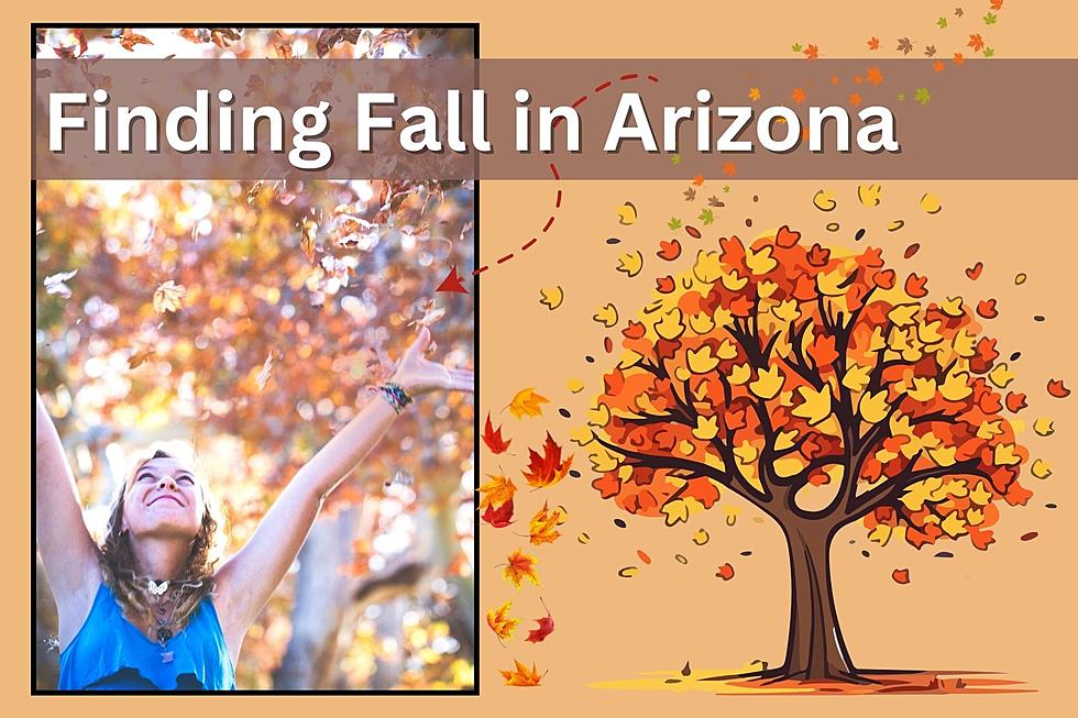 Don’t Miss Fall! Where to See the Subtle Signs of Autumn in Arizona