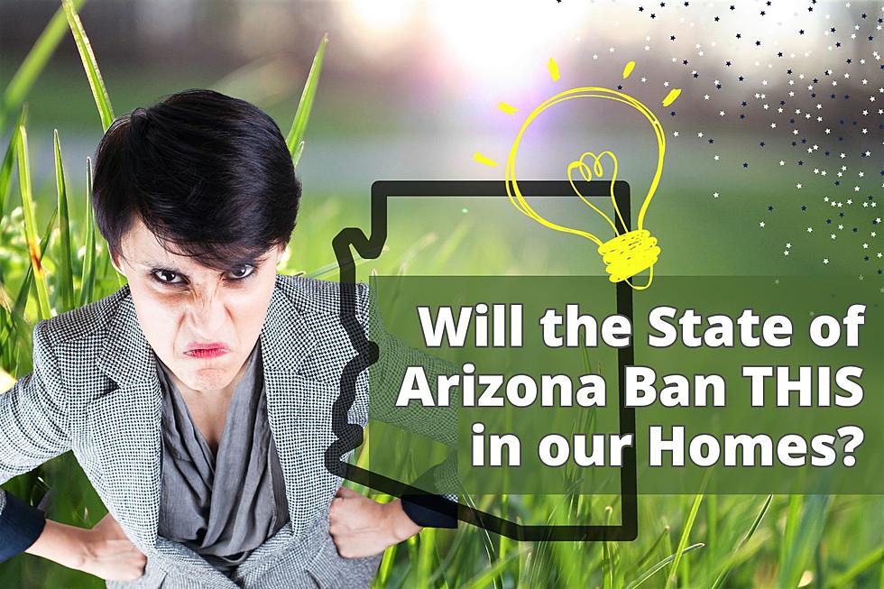 Will the AZ Government Ban THIS in Our Homes?