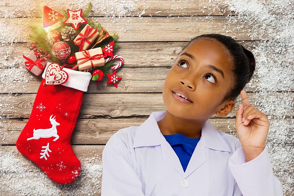 Kiwanis' and Just Kids Inc Holiday Stocking Stuffers Program