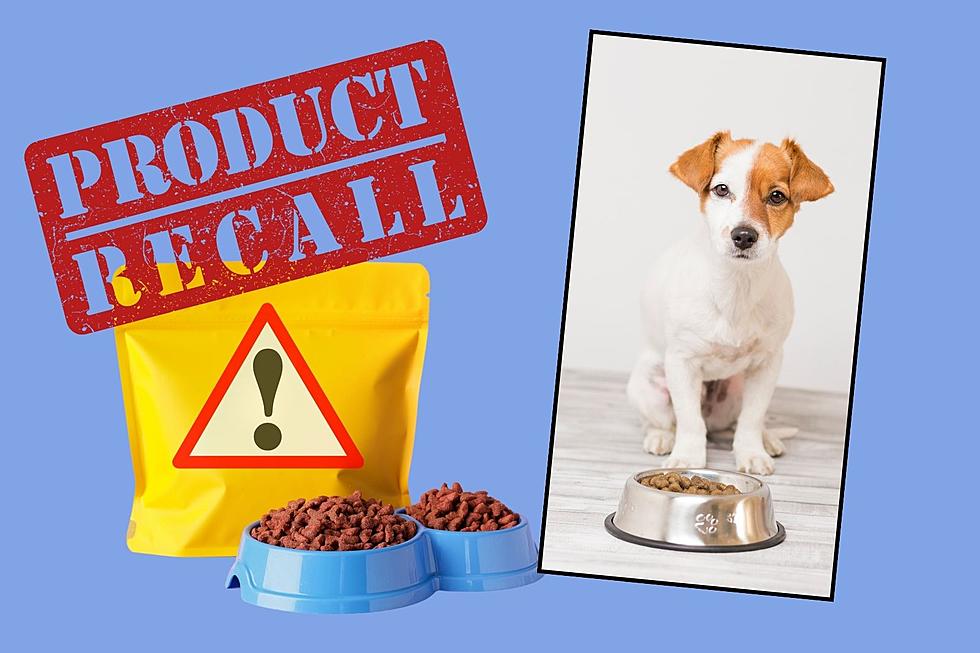FDA Warning to Arizona Dog Owners: Salmonella Found in These Brands