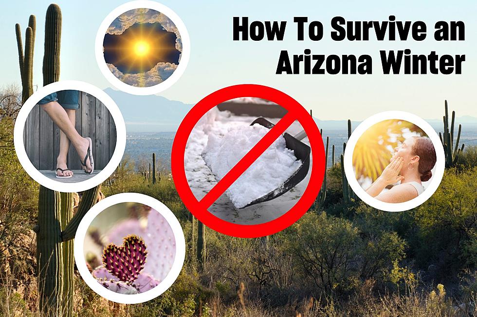 How to Survive Winter in Arizona. Hint: It's Not That Hard!