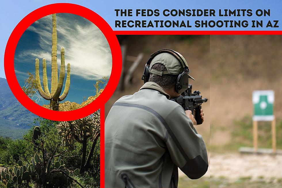 Recreational Shooters in AZ May Not Like this New BLM Proposal