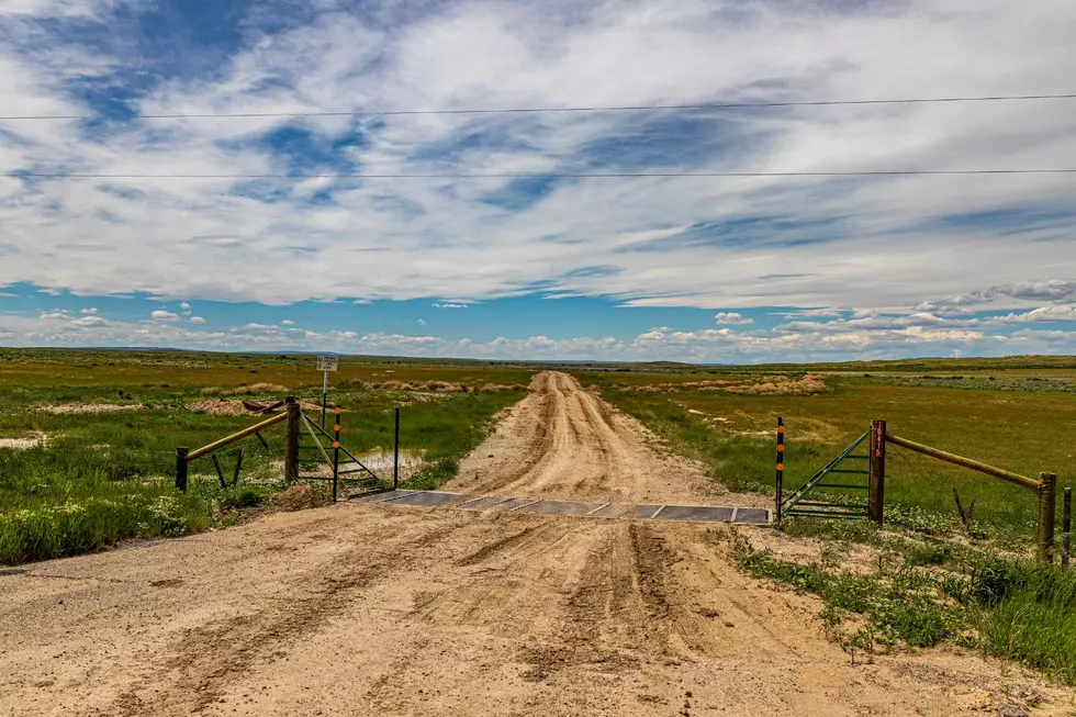 Does the driver or the rancher pay for damages if someone hits livestock in Arizona?