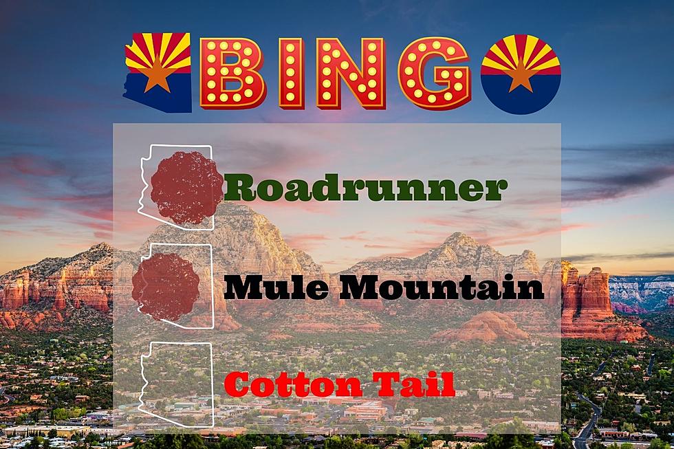 Play Arizona Scavenger Hunt Bingo With Us!