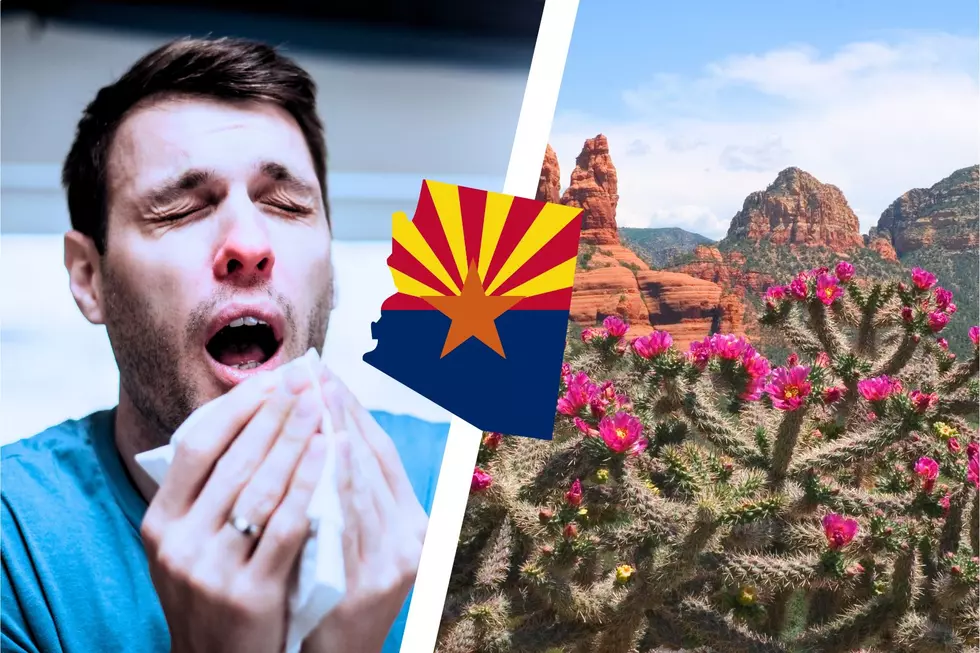 A-Z Allergies: How to Enjoy Arizona’s Beauty Without the Beastly Sniffles