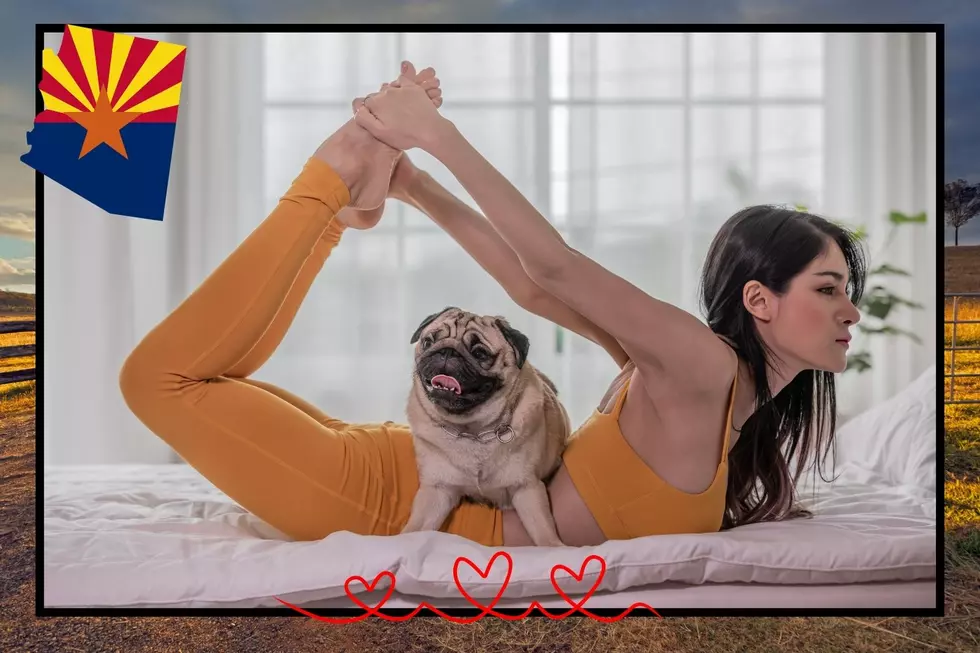 Love Yoga? Puppy Yoga is Coming to Cochise County